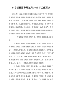 2022年度市自然资源和规划局工作要点