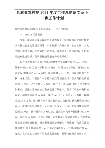 县农业农村局工作总结范文及下一步工作计划2021年度