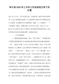 审计局2022年上半年工作总结范文和下步打算