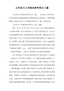 公司实习工作报告参考范文三篇