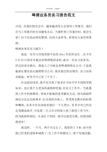 啤酒业务员实习报告范文