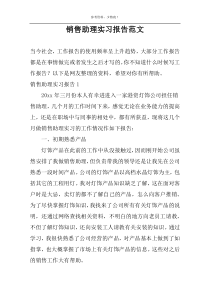 销售助理实习报告范文
