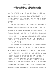 中国农业银行实习报告范文范例