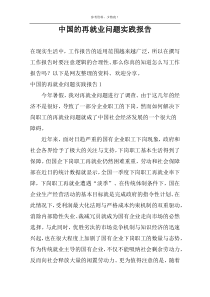 中国的再就业问题实践报告
