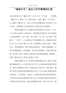 “诚信计生”试点工作开展情况汇报