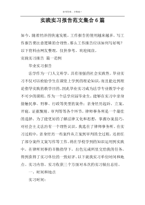 实践实习报告范文集合6篇