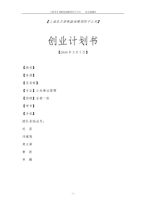 创业策划书6906881176