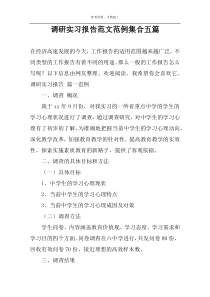 调研实习报告范文范例集合五篇