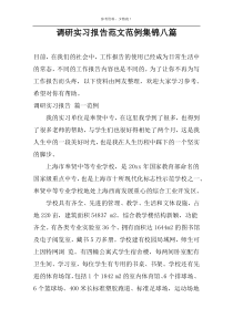 调研实习报告范文范例集锦八篇
