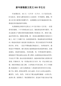 新年新鞋散文范文800字左右