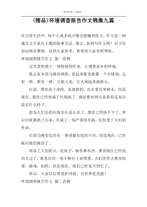 (优秀)环境调查报告作文锦集九篇