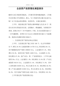 全县资产投资情况调查报告