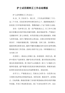 护士试用期转正工作总结模板