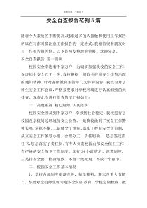 安全自查报告范例5篇