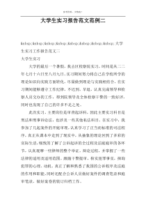 大学生实习报告范文范例二