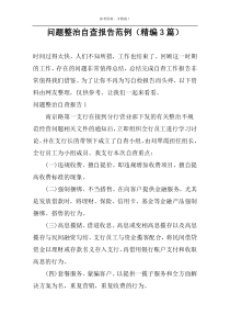 问题整治自查报告范例（精编3篇）