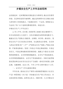 乡镇安全生产上半年总结范例