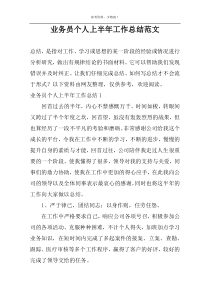 业务员个人上半年工作总结范文