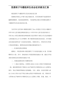 党委班子专题组织生活会征求意见汇报