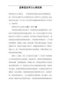 团章团史学习心得范例