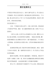赏灯优秀作文