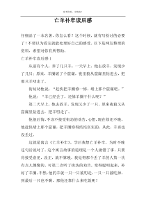 亡羊补牢读后感
