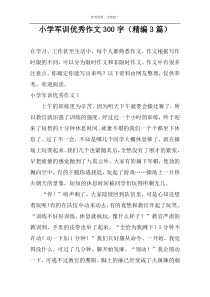 小学军训优秀作文300字（精编3篇）