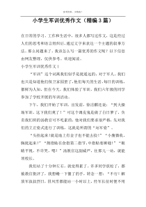 小学生军训优秀作文（精编3篇）