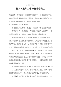 新入职教师工作心得体会范文