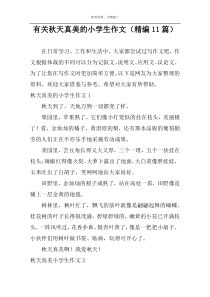 有关秋天真美的小学生作文（精编11篇）