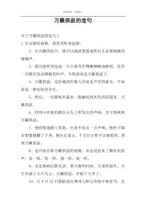 万籁俱寂的造句