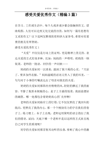 感受关爱优秀作文（精编3篇）