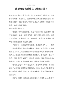感受母爱优秀作文（精编3篇）