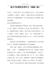 泼水节的感受优秀作文（精编3篇）