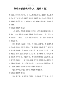 劳动的感受优秀作文（精编3篇）