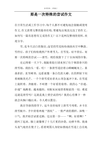 那是一次特殊的尝试作文