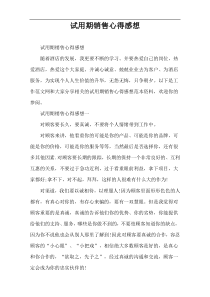 试用期销售心得感想