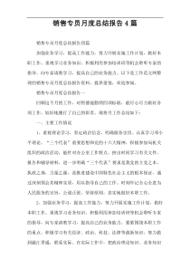 销售专员月度总结报告4篇