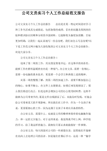 公司文员实习个人工作总结范文报告