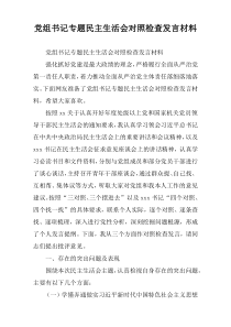 党组书记专题民主生活会对照检查发言材料