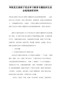 学院党支部班子党史学习教育专题组织生活会检视剖析材料