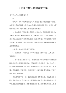 公司员工转正自我鉴定三篇