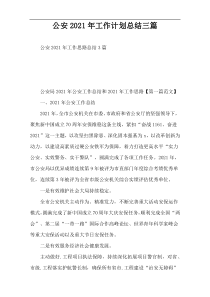 公安2022年工作计划总结三篇