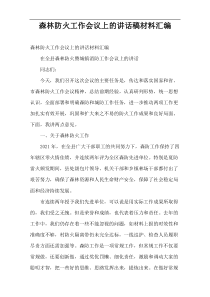 森林防火工作会议上的讲话稿材料汇编