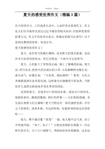 夏天的感受优选作文【精编3篇】