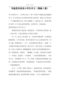 写温柔的爸爸小学生作文【精编3篇】