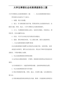 大学生寒假社会实践调查报告三篇