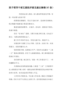 班子领导干部互提批评意见建议集锦（87条）参考