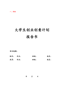 大学生创业创意计划
