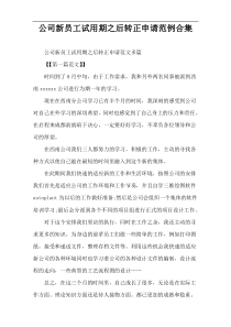 公司新员工试用期之后转正申请范例合集
